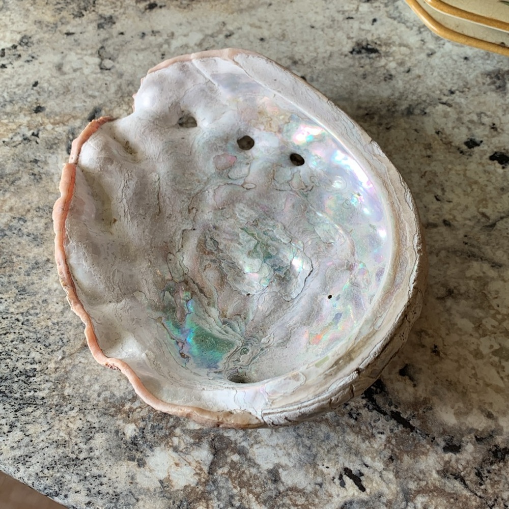 Abalone Sea Shell - Picture 5 of 9